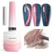 9D Cat Eye Gel Nail Polish  Glitter Soak Off Gel Polish with Magnet Stick Glitter Holographic Nail Art for Salon Home DIY 15ml/0.5floz Blue&Pink Cat Eye Gel Nail Polish