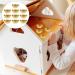 NUOBESTY 10pcs Golden Ingot Citrine Chinese Yuan Bao Feng Shui Wealth Luck Decor - Prosperity Charm - Buy Online on GoSupps.com