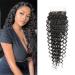 BEAUTY GRACE Deep Wave Lace Closure Human Hair 12Inch Brazilian Virgin Deep Wave 4X4 Lace Closure Free Part Natural Color (12Inch, Lace Closure) 12 Inch 4x4 Deep Wave Closure