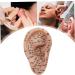 Buy Earred Acupuncture Kit - Soft Ear Seed Kit with Model Tweezers Probe Pin & Book for Effective International Shipping - Buy Online on GoSupps.com