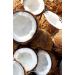 Khadi Coconut Shikakai Ayurvedic Conditioner - 100% Natural Silicone-Free Vegan Hair Care 200ml for Shine & Curls - Buy Online on GoSupps.com