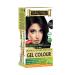 Indus Valley Natural Organic Damage Free Permanent Gel Hair Color  Ammonia Free  Vegan  Cruelty Free  Up to 100% Gray Coverage |Doctor Recommended| Bio Natural Certified- Black 1.0 (20gram+200ml) Pack of 1