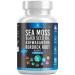 Silicon Sea Moss 3000 Black Seed Oil 2000 Ashwagandha 1000 Bladderwrack 1000 Burdock 1000-60 Count 60 Count (Pack of 1)