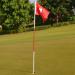 Boshen Golf Flagstick Practice Set for Backyard Putting Green - 1 Set/2 Set Hole Cup Flags - Buy Online on GoSupps.com
