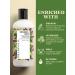 THE LIVING CO Strengthening Shampoo & Conditioner Combo - 600ml with Shikakai & Amla for Hair Fall Control - Best International Shipping - Buy Online on GoSupps.com