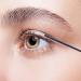 Fan Shaped Mascara Brush 120 Degree Angled Mascara Detail Brush Fan Brush Facial Makeup Brush Soft Fan Face Makeup Brush Portable Eyebrow Brush Perfect for Home Travel and Outing Eyeliner - Buy Online on GoSupps.com