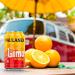 Buy Paulaner Limo Orange - Refreshing Orange-Flavored Soft Drink (24x0.33L) | International Shipping Available - Buy Online on GoSupps.com