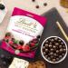 Fruit Sensation with dark chocolate raspberry and Ar ndano Rouge Lindt - Buy Online on GoSupps.com