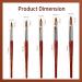 Kolinsky Acrylic Nail Brush - Professional Red Wood Sable Oval Brush for Nail Extensions & 3D Art (Size 8) - Ideal for Home Salon & Beginners - Buy Online on GoSupps.com