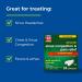Rite Aid Daytime Severe Sinus Congestion & Pain Relief - 24 Caplets | Non-Drowsy Multi-Symptom Relief with Acetaminophen 325mg | Cold, Flu & Sinus Medicine for Adults - Buy Online on GoSupps.com