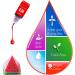 20 Color Liquid Candle Dye for DIY Candle Making - High Concentration Wax Dye for Soy, Gel, Paraffin Wax - 10ml Each - Buy Online on GoSupps.com