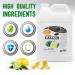 SPA REDI Lemon and Lime Callus Remover Gel 128 Oz - Professional Pedicure Foot Care for Toughest Calluses - Smooths Dry Cracked Heels - 1 Pack - Buy Online on GoSupps.com