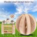 CCCYMM 6 Pcs Pet Natural Wooden Chew Toys Dumbells Exercise Bell Molar Toy for Parrot Rabbit Chinchilla Guinea Pig Hamster Small Animals - Buy Online on GoSupps.com