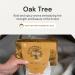 Grab Green Stoneworks Dryer Sheets - Cruelty-Free Softens Fabrics Reduces Static & Wrinkles - Plant-Based Oak Tree Scent (80 Sheets) - Shop Internationally - Buy Online on GoSupps.com