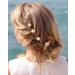ZAMXHUG Hair Accessories Girls - 20 Pieces White Small Flower Hair Clips Mini Cute Rhinestone Metal Hair Pins for Women Bridal Hair Clips for Girls Wedding Hair Accessories Decorative (2 Styles) - Buy Online on GoSupps.com