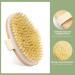 Bilione Natural Bristle Dry Brush - Back & Body Peeling Massage Brush for Blood Circulation & Cellulite Reduction - Buy Online on GoSupps.com