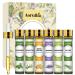 Aoruilia 6 x 10ml Essential Oils for Diffuser for Home 100% Pure Aromatherapy Oil for Sleep Cleaning Skin Care Candle Making - Tea Tree Lavender Peppermint Sweet Orange Lemongrass Eucalyptus Top 6 60 ml (Pack of 1)