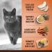 Zo Cat Food Daily Nutrition & Weight Control Chicken + Turkey Recipes (1.36 kg each) - Buy Online on GoSupps.com