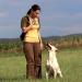 Whistle High Frequency Recall Dog Training Cat dressage education Whistle Nice - Buy Online on GoSupps.com