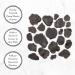 Roland Foods Himalayan Black Truffle Peelings - 7 oz Can | Specialty Indicum Truffles | Imported Gourmet Food - Buy Online on GoSupps.com