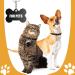Buy Durable Aluminum Dog Tags & Trailers - 30 Pet ID Tags + 10 Chains for Dogs & Cats - Waterproof & DIY Friendly - Buy Online on GoSupps.com