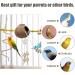 Eunewr Bird Toys for Parrots - 7-Piece Wooden Swing & Climbing Hammock Set for Conures Macaws & Finches - Perfect for Your Feathered Friends! - Buy Online on GoSupps.com
