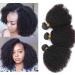 Mongolian Afro Kinky Curly Bundles Human Hair (12 14 16 Inch) 4B 4C Afro Kinky Bulk Human Hair Bundles for Black Women 100% Unprocessed Virgin Hair Extensions Afro Curly Weave Bundles Natural Color (12 14 16 Inchs)