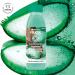  Garnier Garnier NYX PROFESSIONAL MAKEUP Garnier Hair Food Garnier Fructis Hair Food Moisturizing Shampoo with Aloe Vera 350 ml - Buy Online on GoSupps.com