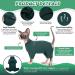 Hjyokuso Sphynx Cats Clothing | Soft & Breathable Cat Sweater for Sphynx Cornish Rex Devon Rex Peterbald | Warm Cat Wear with Four Legs - XL Green - Buy Online on GoSupps.com