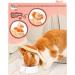 Supet ReWRise Adjustable Cat Collar - Post-Surgery Recovery Cone (Grapefruit M) - Ideal for Healing Injuries (Neck: 21.5-30.5cm) - Buy Online on GoSupps.com