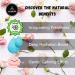 Naturevibe Botanicals Eau de g ranium hydrosol 947 2 g - Buy Online on GoSupps.com