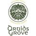 Druids Grove Lactic Acid 8 oz - Vegan, Non-GMO, Gluten-Free, OU Kosher Certified - Buy Online on GoSupps.com