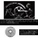 SHIMANO HG51 8-Speed Cassette 11-32T - High quality and durable cassette for smooth gear shifts - Buy Online on GoSupps.com