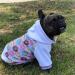 Shop XL Purple Hooded Sweatshirt for Small & Medium Dogs - Winter Pet Costume with Bag - Buy Online on GoSupps.com