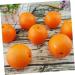 LIFKICH 10pcs Fruit Party Artificial Orange Fruit Photography Props Scenery Photography Fruit Props Plants Decor Artificial Vegetable Model Artificial Fruit Props Decorate Fake Fruit - Buy Online on GoSupps.com