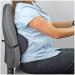 Fellowes Lordosis Support - Mobile Back Support Cushion for Office Chairs & Cars - Foam Back Support Belt - Ideal for Home Office - Black - Buy Online on GoSupps.com