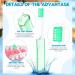 Buy Nuen 2-Piece Portable Soft Toothbrush Set - Foldable Travel & Camping Toothbrushes with Soft Bristles & Toothpaste - Mini Case in Green Shell for Adults - Buy Online on GoSupps.com