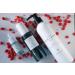 Graydon Skincare Intimacy Oil - Nourishing Oil for Couples | Shop Internationally - Buy Online on GoSupps.com