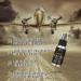Huile Barbe Bio Fortifiante l'Huile de Ricin - Hairgum - Buy Online on GoSupps.com