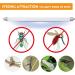 AffyBulb 2 x 6W Replacement Bulbs for Fly Killer & Insect Zapper - 9in T5 BL368 UV Tubes - Fast International Shipping - Buy Online on GoSupps.com
