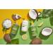 Alaffia EveryDay Coconut Shampoo & Conditioner Set - Nourishing Hydration for Normal to Dry Hair | Shea Butter & Ginger | Coconut Lime | 32 Fl Oz - Buy Online on GoSupps.com
