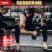 Premium Berberine Supplement 25600mg with Milk Thistle, Ashwagandha, Turmeric - 120 Capsules - Immune, Cardio, Gut support - Buy Online on GoSupps.com