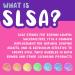 SLSA Powder 2 lbs - Pure Sodium Lauryl Sulfoacetate for Bath Bomb Making - Buy Online on GoSupps.com