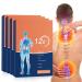 Pain Patches   Maximum Strength Patch - Back Patches for Pain - 12 Hot Pain Patches