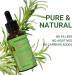 Buy 100% Pure Organic Rosemary Essential Oil for Hair Growth - Nourish Scalp & Strengthen Hair | 30ml - Buy Online on GoSupps.com