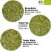 Organic Mate Tea Set | 3 Types of Mate 2 Double-Walled Stainless Steel Cups 2 Bombillas & Instructions - International Shipping - Buy Online on GoSupps.com