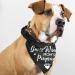 Pregnancy Announcement Dog Bandana Set for Dog Lovers - Gender Reveal Photo Prop and Pet Scarf Decorations - Pack of 2 - Buy Online on GoSupps.com
