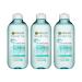 Garnier Pure Active Daily Deep Pore Facial Toner against skin impurities for more shine