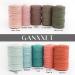 GANXXET Bay Leaf Color Macrame Cotton Cord 2mm 3 ply Recycled | 480 Feet / 160 Yards | DIY Macrame and Crafts Cord for Wall Hangings, Plant Hangers, Coasters - Buy Online on GoSupps.com
