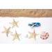 OBTANIM Starfish Hair Clip Set - Resin Beach Sea Star Hair Pins for Women and Girls - Mermaid Hair Accessories - 2 Count - Buy Online on GoSupps.com